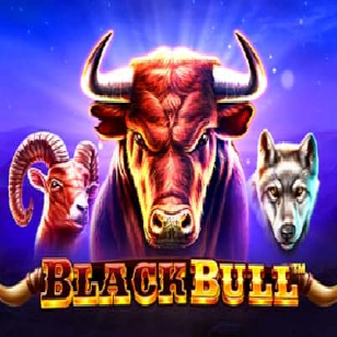 black bull