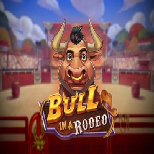bull in a rodeo