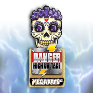 Danger High Voltage Megapays